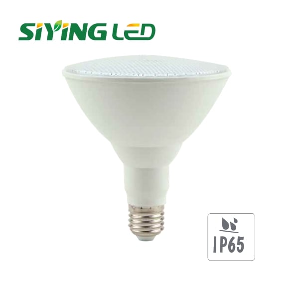 Pre-Painted Corrugated Sheet Surface Mounted Microwave Sensor Light - Par SY-P032 – Siying